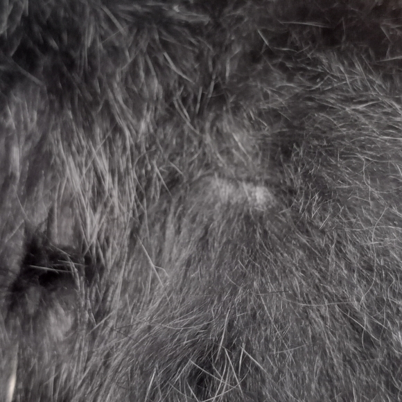 Somerset Los Angeles Rabbit Fur Jacket - Picture 5 of 8